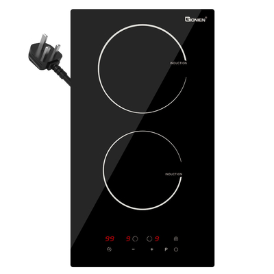 Plug in Domino Induction Hob 2 Rings 30cm Electric Cooktop Dibangun di Worktop